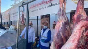 تحديث اللحوم كفر الشيخ كيلو 310 جنيهًا في معارض أهلا رمضان